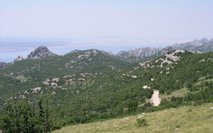 Ausflugsziele-Insel-Vir